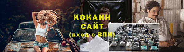 apvp Алексин