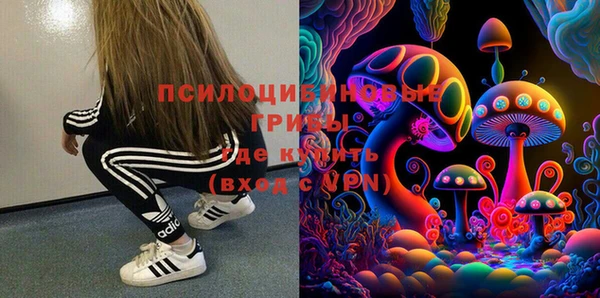 ешки Алзамай