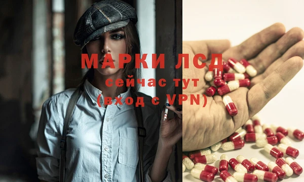 apvp Алексин