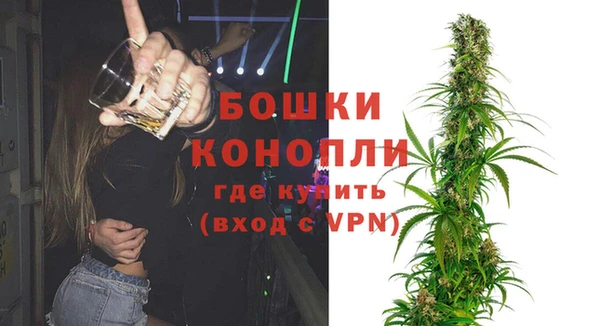 apvp Алексин
