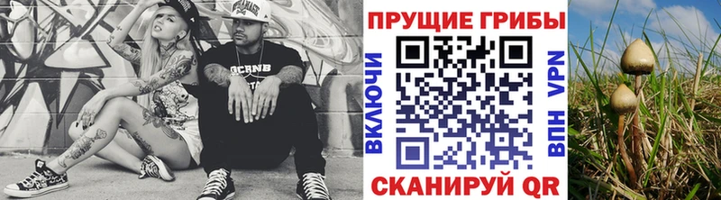 Псилоцибиновые грибы мицелий  Закаменск 