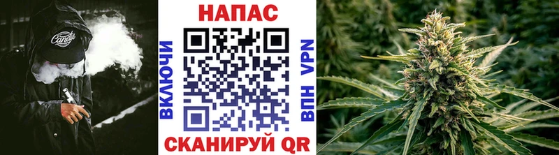 Конопля MAZAR  kraken ССЫЛКА  Закаменск 
